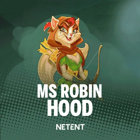 Ms Robin Hood oyununun kapak görseli