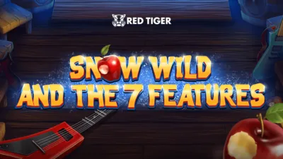 Snow Wild And The 7 Features oyununun kapak görseli